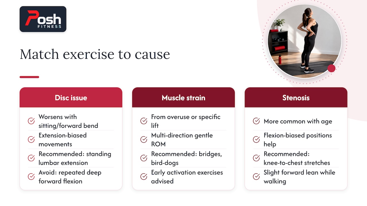Movement guidance for three lower back pain patterns